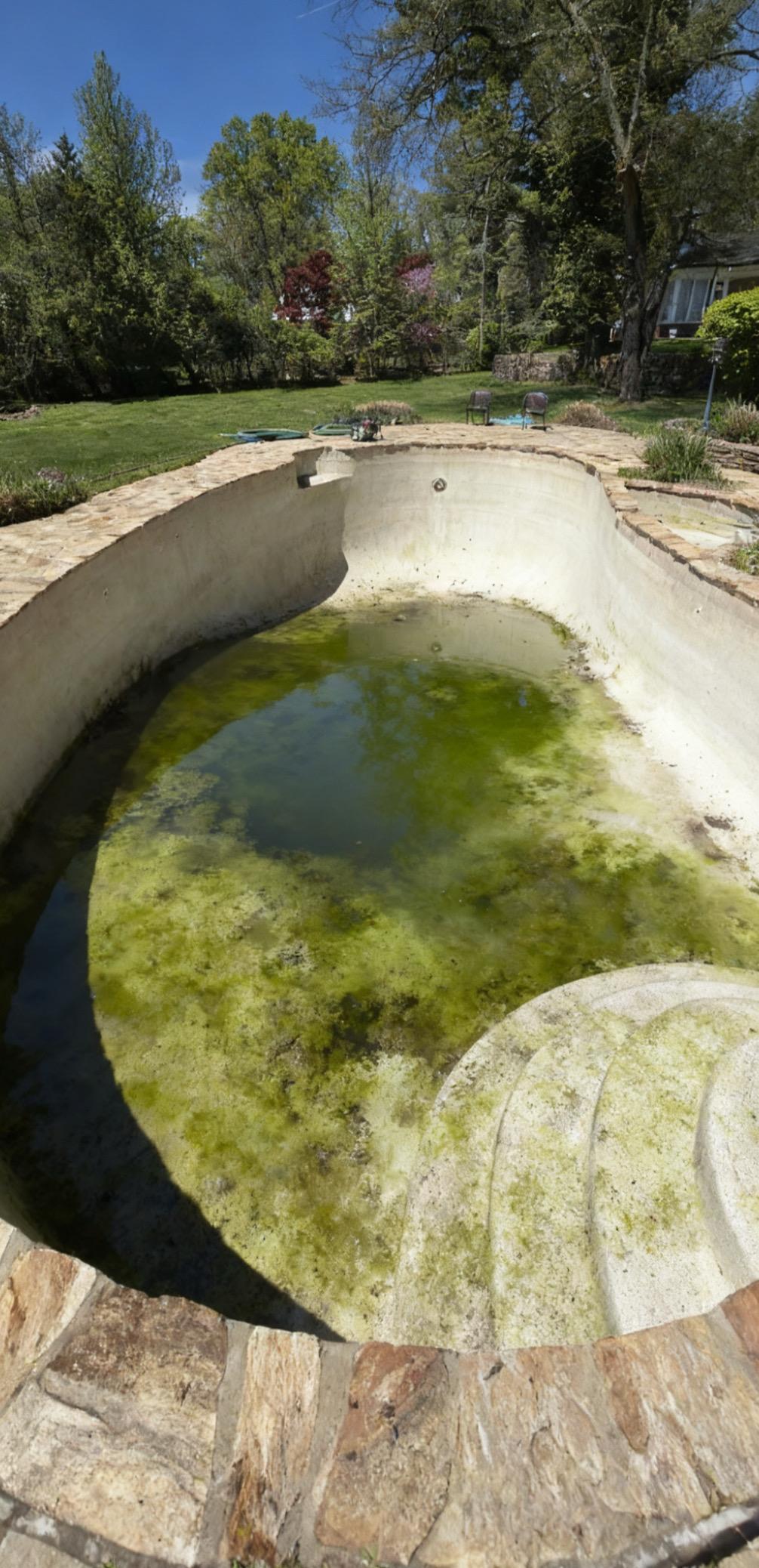 Green Pool Before Algae Treatment - New Jersey Pool Recovery